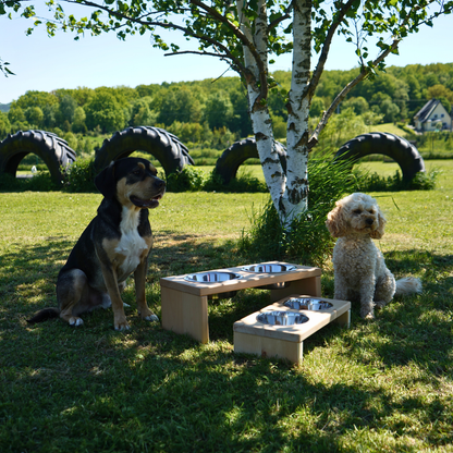 Futterstation Elim aus Buche