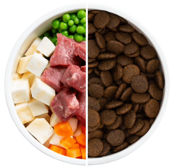 Dog food benefits